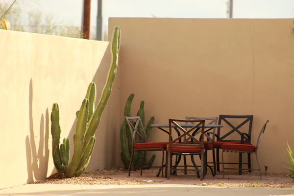 Shaded patio table with four chairs beside tall cacti and a sand-colored wall