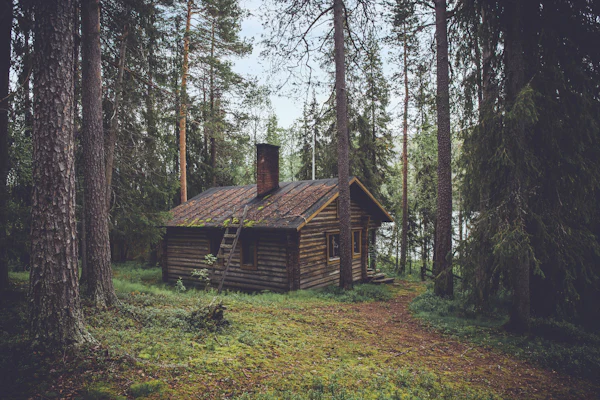 Log cabin with a stone chimney among tall pine trees