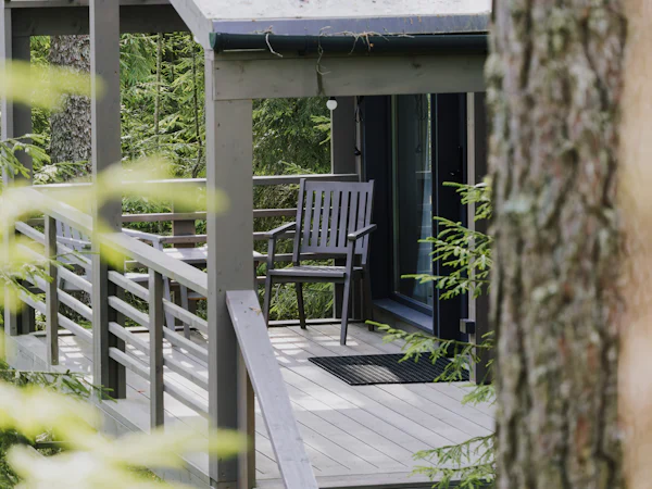 Wooden deck with a chair looking into the forest